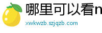 哪里可以看nba直播